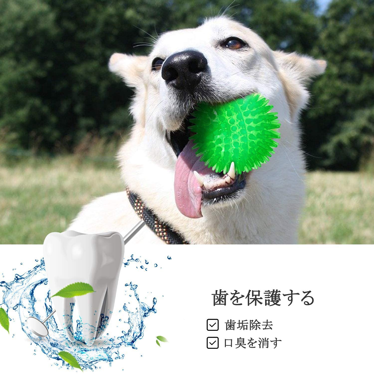 犬おもちゃ 犬用ボール 噛むおもちゃ 音の出るおもちゃ いぬおもちゃ 知育玩具 天然ゴム 弾力性抜群 耐久性 ストレス解消 運動不足 訓練用 犬遊び用 猫用おもちゃ 中小型犬に適用 3個 セット Crunchusers Com