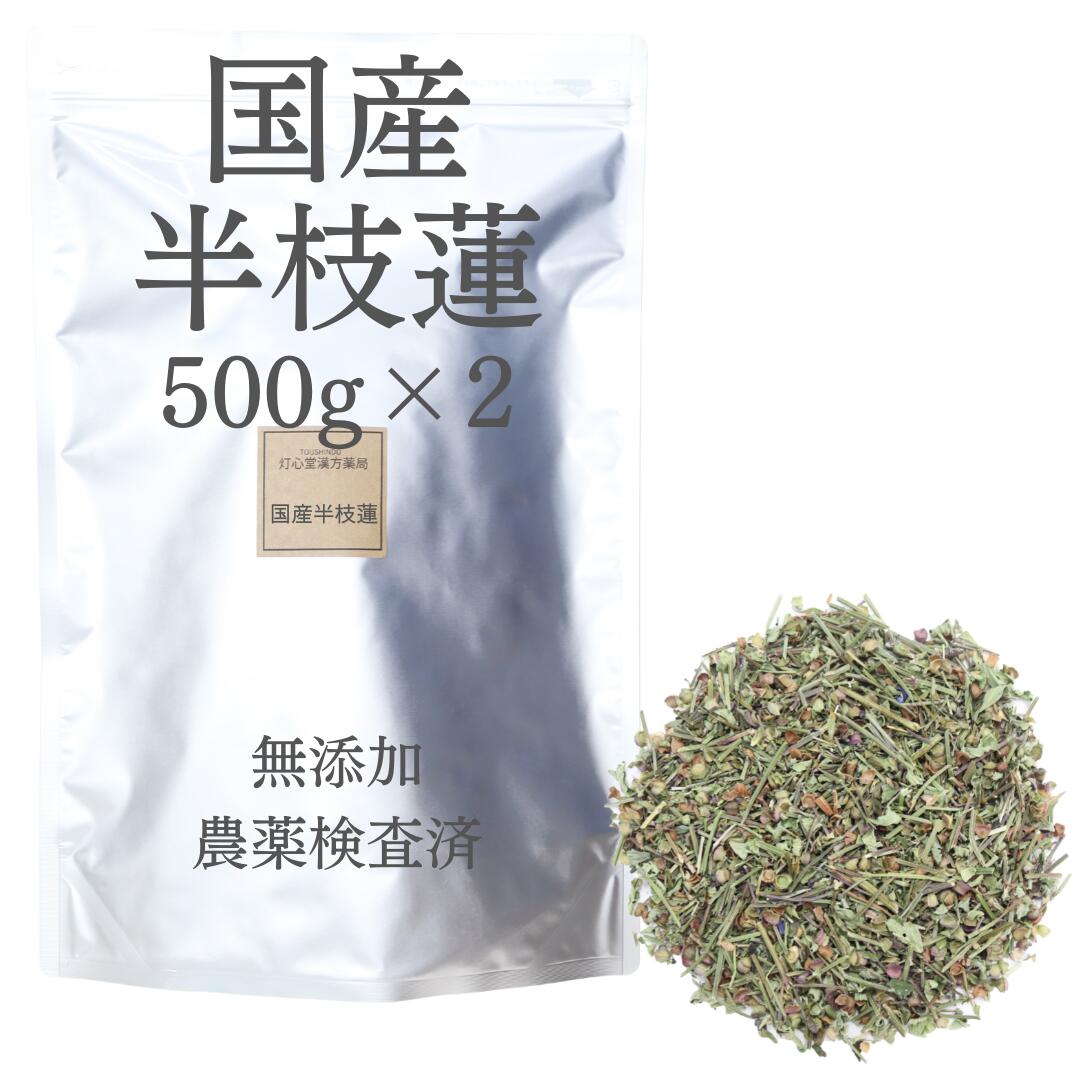 国産 半枝蓮 500g×2 1000g 農薬検査済 甘味料 着色料 保存料不使用 そのまま 無添加 日本産 ハンシレン はんしれん 煮出し お茶 薬膳 薬膳茶 茶 生薬 日本茶 茶 飲料 国産 選べる 産地 無添加食品 薬膳食材 アルカロイド フラボノイド|灯心堂漢方薬局 店
