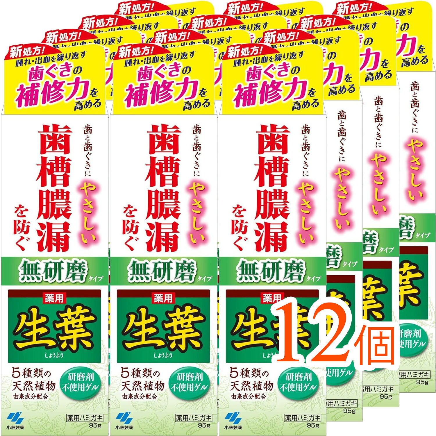 【12個まとめ買い】生葉 無研磨タイプ 95g[医薬部外品]（歯茎を健康に保つ 無研磨で優しく まとめ買いでお得）｜タウンマート