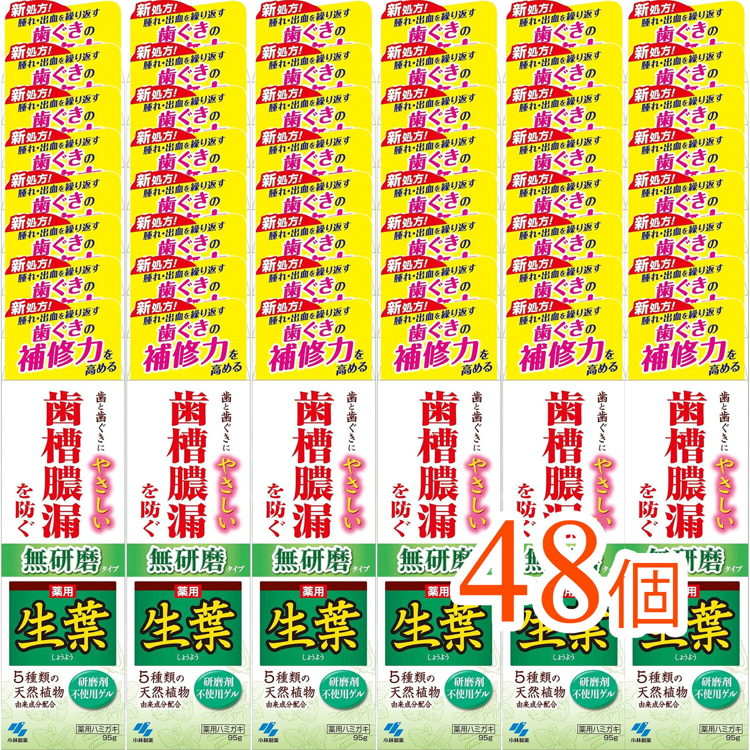 【48個まとめ買い】生葉 無研磨タイプ 95g[医薬部外品]（歯茎を健康に保つ 歯周ケアに最適 まとめ買いでお得）