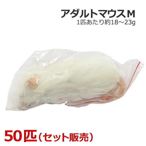 氷る 成年者二十日鼠 M大いさ 50匹 ペット・ペットグッズ-エサ