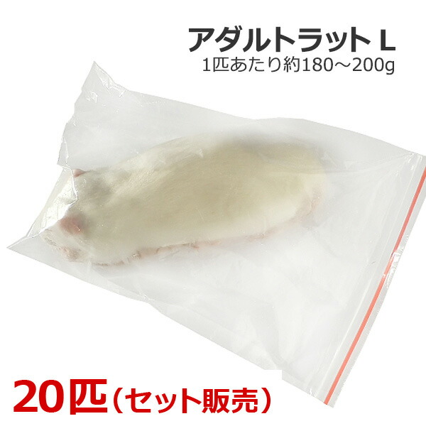 冷凍 アダルトラット Lサイズ 20匹|ペットと園芸のホムセントックリ