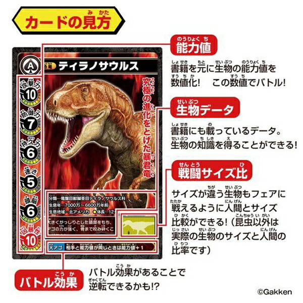 楽天市場 最強王図鑑 最強王バトルカードゲーム 恐竜 動物 昆虫 幻獣 トイショップ まのあ