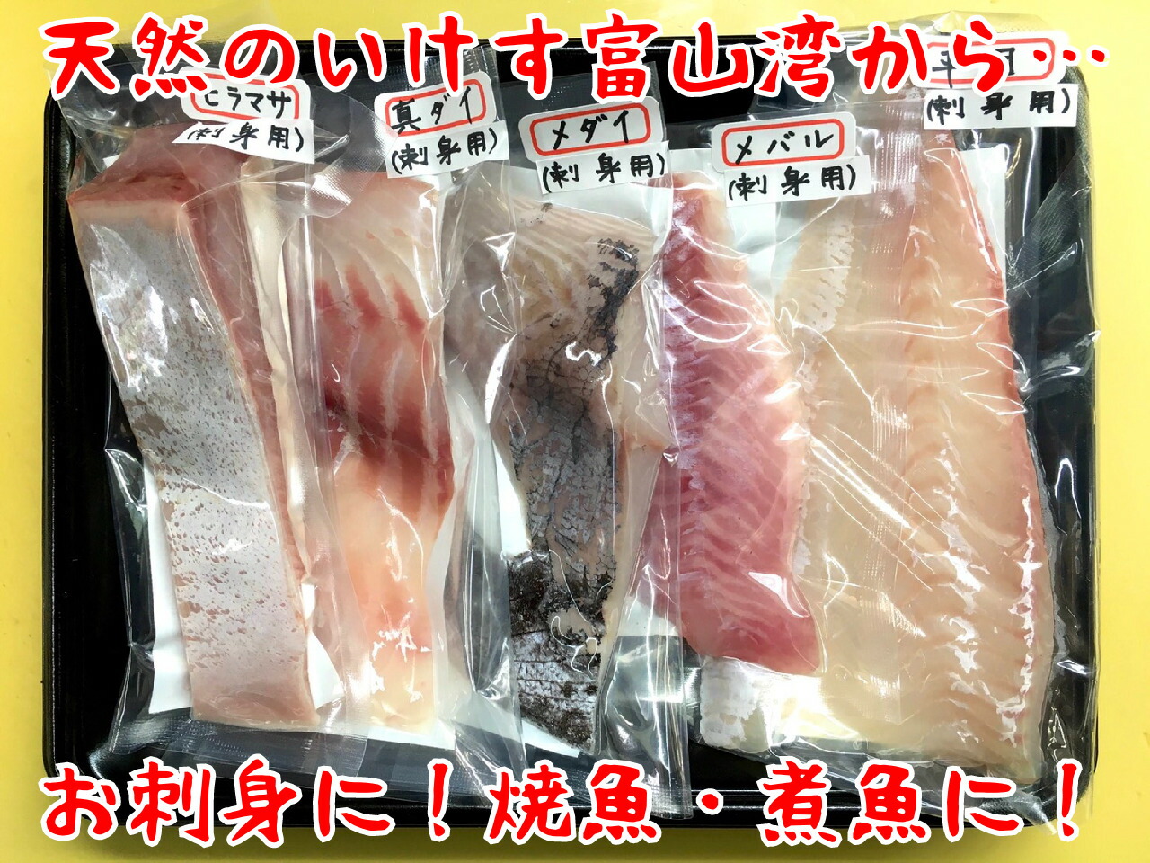 限定価格セール 楽天市場 富山湾きときとセット 松 富山湾 山本鮮魚店 高い品質 Www Lexusoman Com