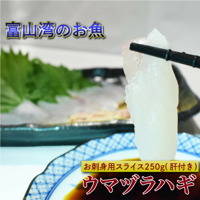 【送料無料】富山県産天然ウマヅラハギ 肝つき！(刺身用) 約250g(大きめ2～3尾) | カワハギ 刺身 肝 ウマヅラハギ ウマズラハギ ウマヅラ