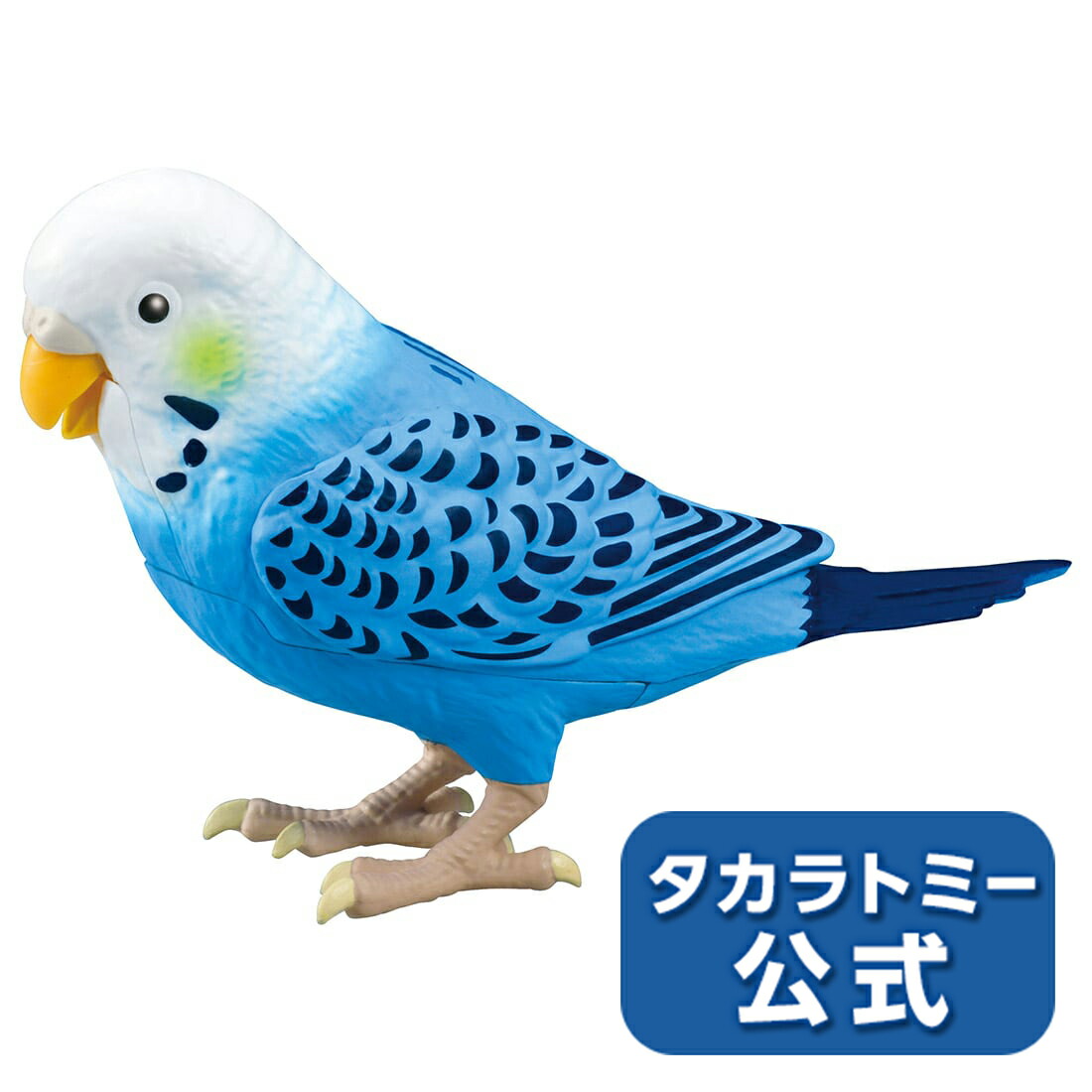 毎日おしゃべり 青色おもちゃ 21年08月27日発売 天才インコちゃん タカラトミー公式店5500円以上購入で送料無料 電子ペット 青色 タカラトミーモール店