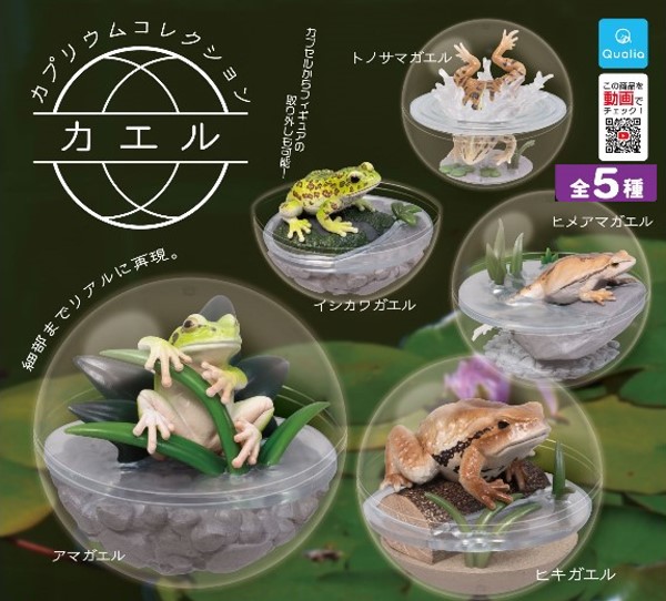 お財布蛙　コンプリート　ガチャ カプセルQミュージアム 財布にカエル「お財布蛙2」 全6種/1回300