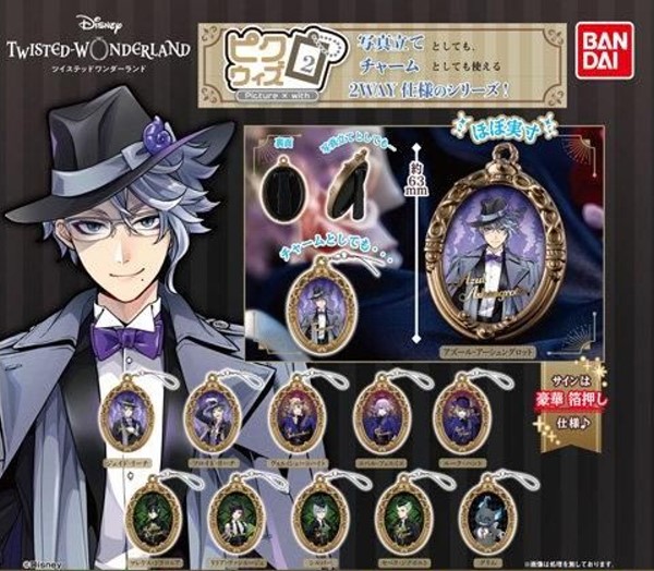 楽天市場】【全15種セット】 □ディズニー ツイステッドワンダーランド