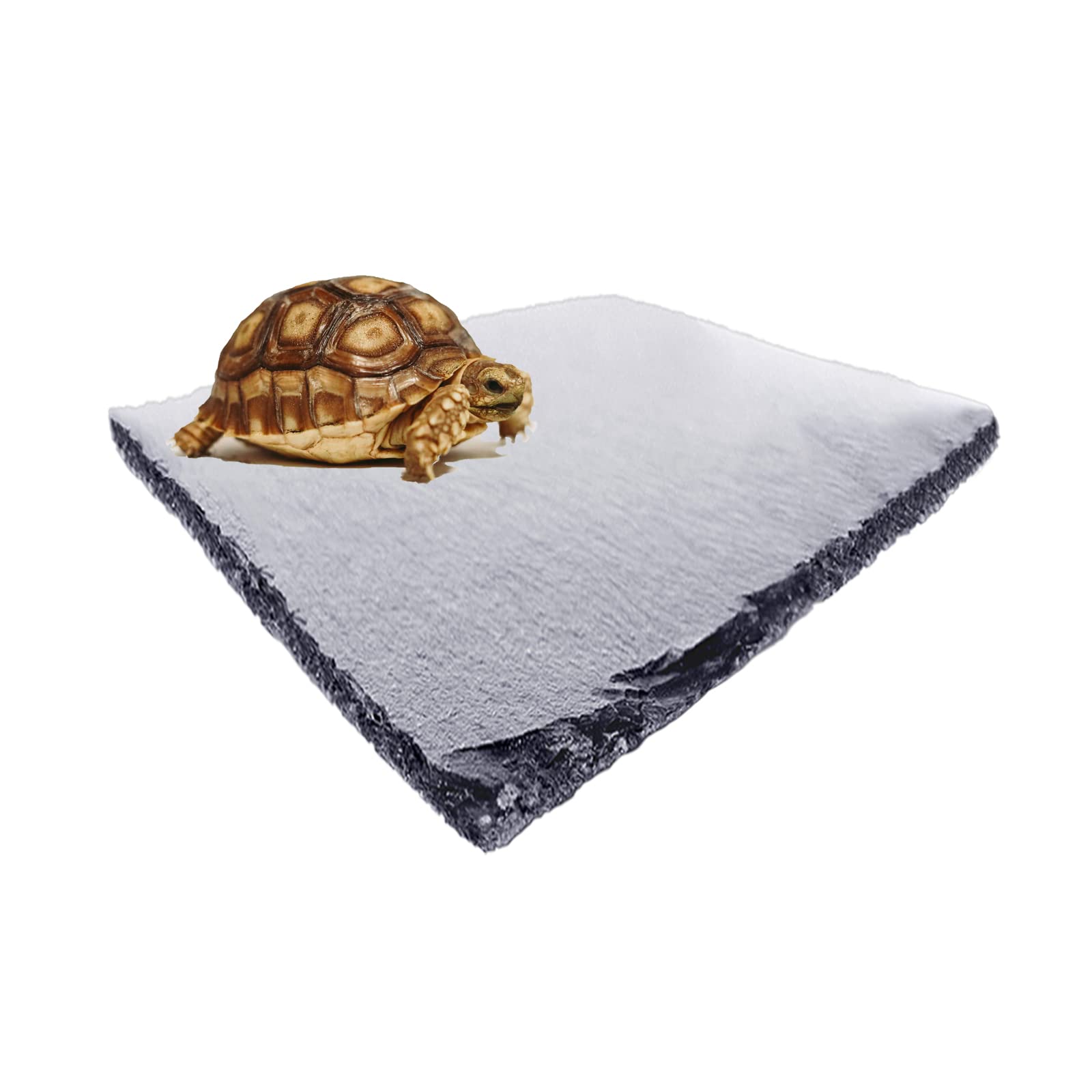 りくがめ Amazon | Skywink 亀 水槽 大きい タートルタンク カメ用