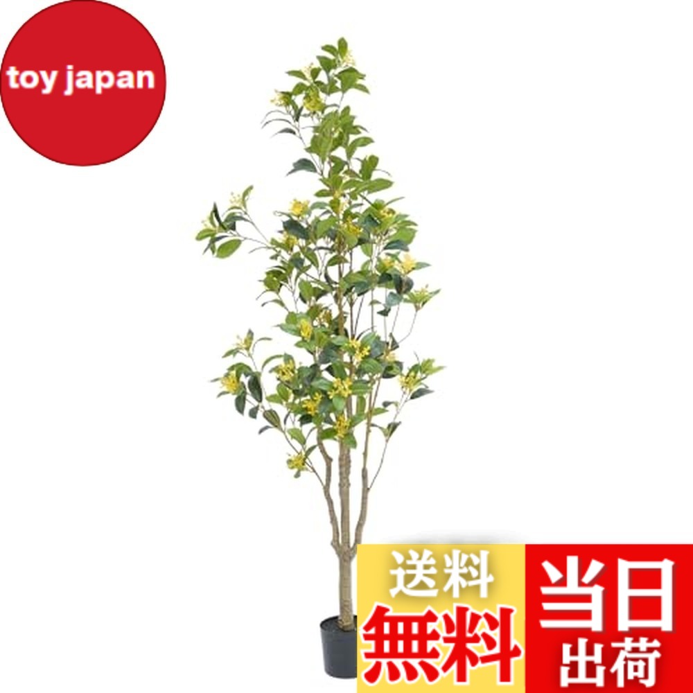 【貨物輸送無料】ybaymy 人工観葉草木