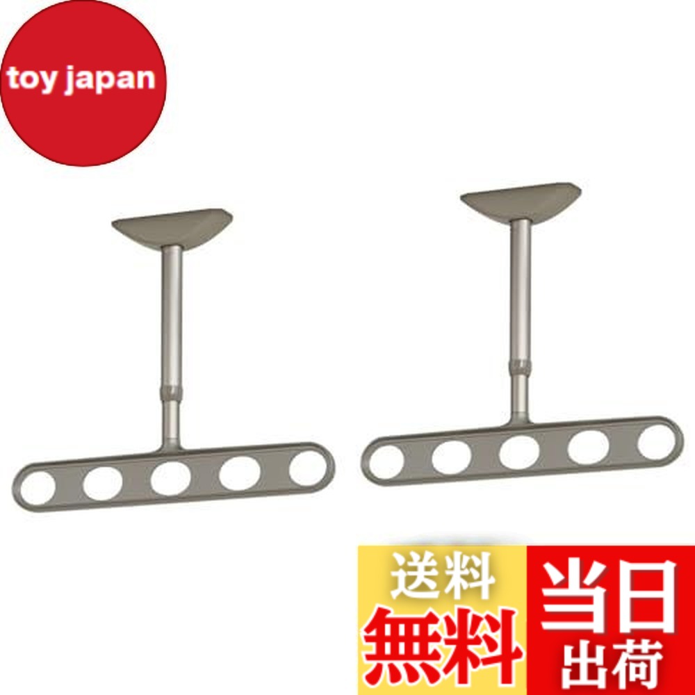 【送料無料】川口技研 軒天用物干し ホスクリーンZA/ZAN型