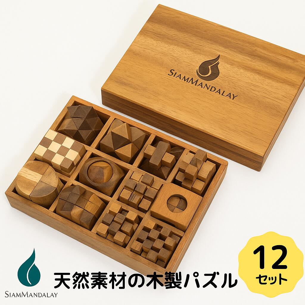 楽天市場】超上級者向け 知恵の輪9点セット レベル5 難易度MAXに挑戦