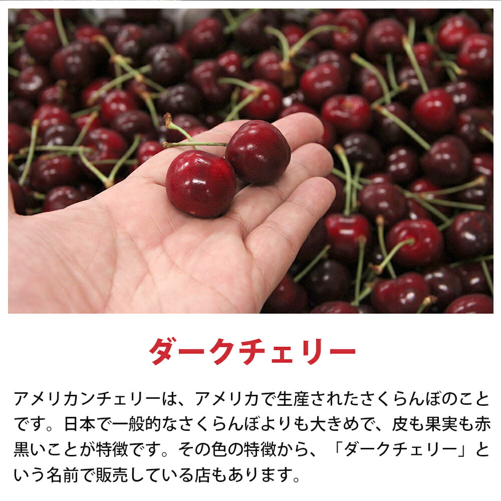 送料無料】 アメリカ産アメリカンチェリー 10.5Rサイズ 1kg