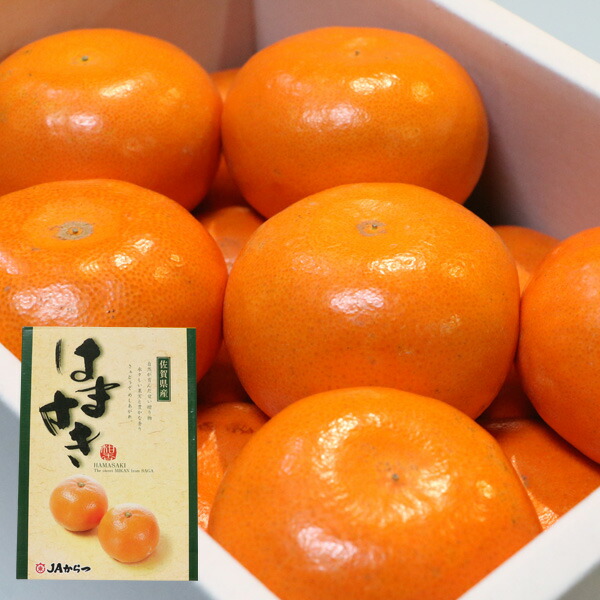 楽天市場】みかん 津の輝 お試し 家庭用 5kg JAはまゆう 宮崎県産