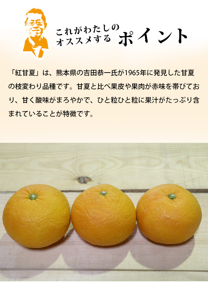 市場 送料無料 あまなつ 紅甘夏 10kg みかん Mサイズ 鹿児島県産 鹿児島県 ギフト 甘夏 夏みかん オレンジ