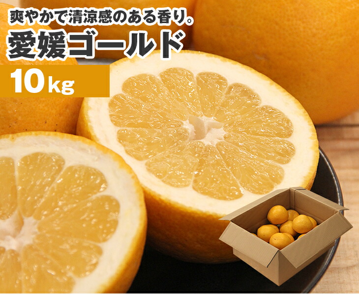 【送料無料】愛媛県産 愛媛ゴールド10kg【20～25個入】<br>【 愛媛県 国産 宇和ゴールド おれんじ オレンジ 柑橘 家庭用 贈り物 贈答 お祝い お返し ギフト プレゼント】<br>【フルーツ お取り寄せ うまい 果物】