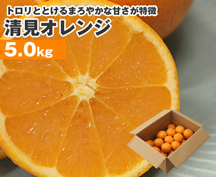 楽天市場】【送料無料】清見オレンジ 和歌山県産 10kg Lサイズ