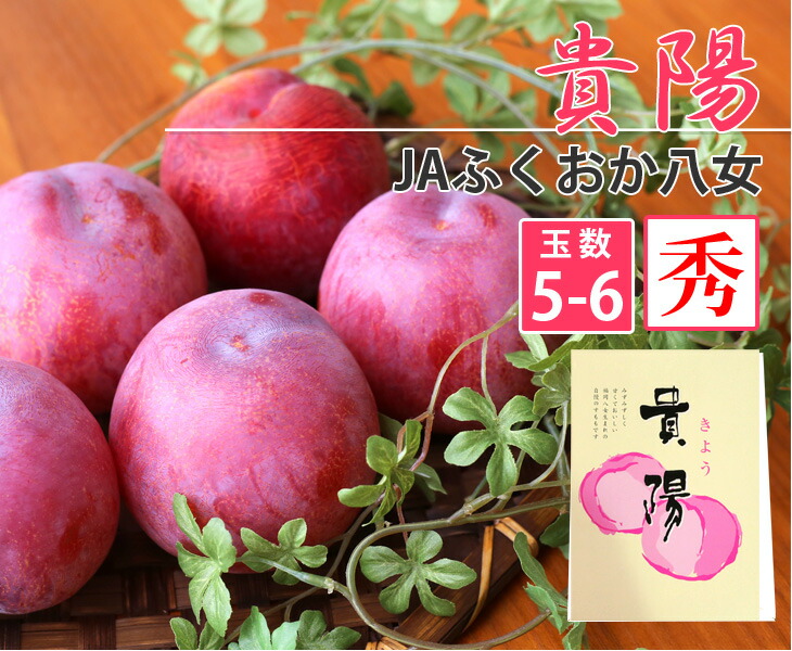 楽天市場】お中元・贈り物に最適！島根ココロノファームよりお