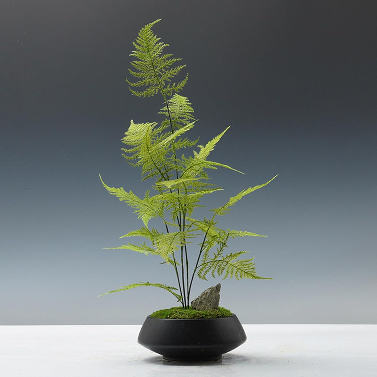 造花 鉢植え フェイクグリーン 卓上 枯れない F 繊細な葉 テーブル 06セット 観賞用 オフィス カフェ 事務所 インテリアグリーン 空間彩り 引っ越祝い 新築祝い 人工観葉植物 フラワーアレンジ｜Funny Life 店 22,157円