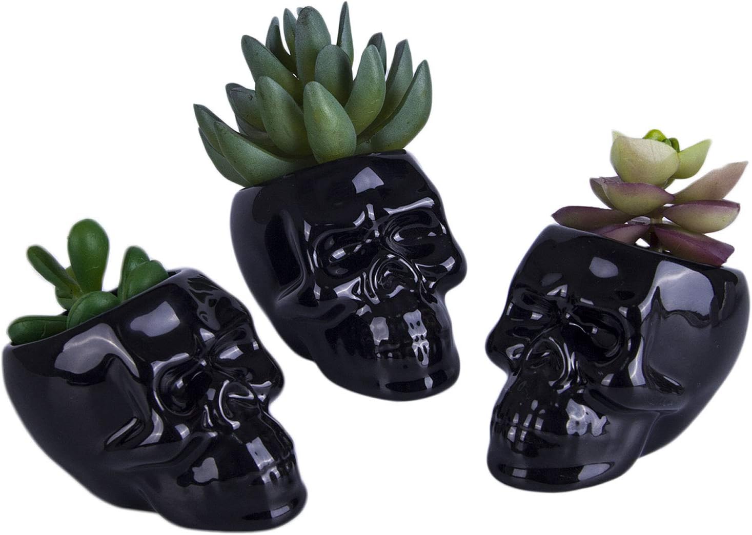 ブラックセラミックスカル型多肉植物プランターポット3個セット クリエイティブサボテン植物ポット ペン鉛筆ホルダー ホームオフィスデスクデコレーション 5,705円