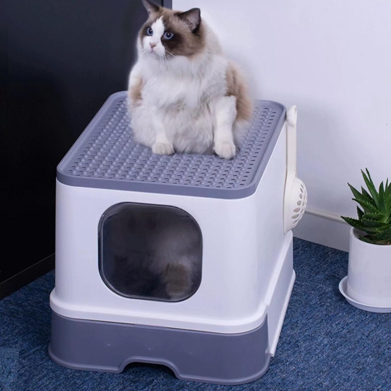猫トイレ 猫用トイレ本体 ドーム型 大型キャットトイレ 上から 横から フルカバー 引き出し式 おしゃれ 大容量 飛び散り防止 丸洗い可能 清掃便利 大きい猫 可愛い 猫のトイレ ネコトイレ ペット用｜Funny Life 店