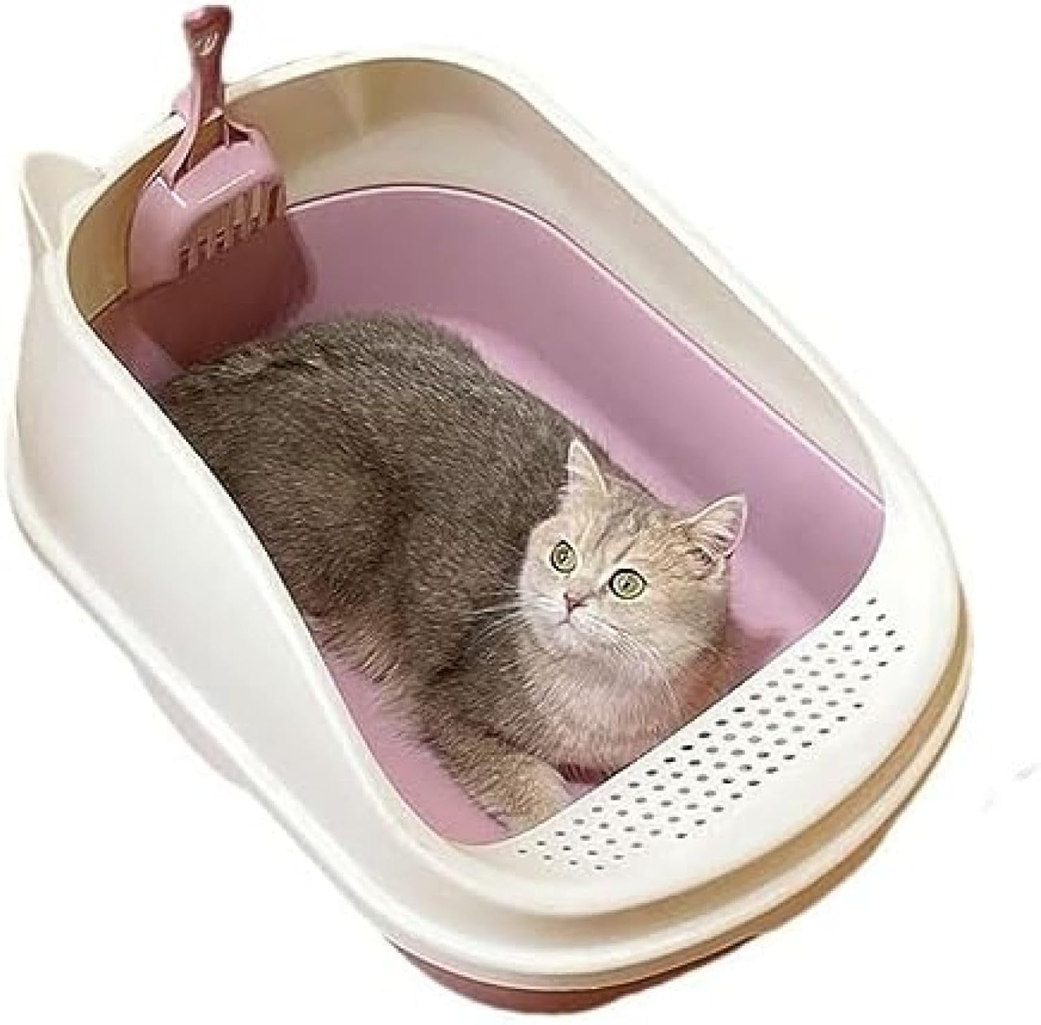 超大型猫用室内用便器 半密閉型 猫 室内用便器 公公然たる印字機 砂の飛び散り押しとどめる 惜しみ無い猫 多猫 猫用室内用便器本体 飾り気の無い洗い濯ぎ 頼もしい ねこ 室内用便器 惜しみ無い 押し並べて組み立てる 飛散押しとどめる 紫 トイレ用品-猫用品
