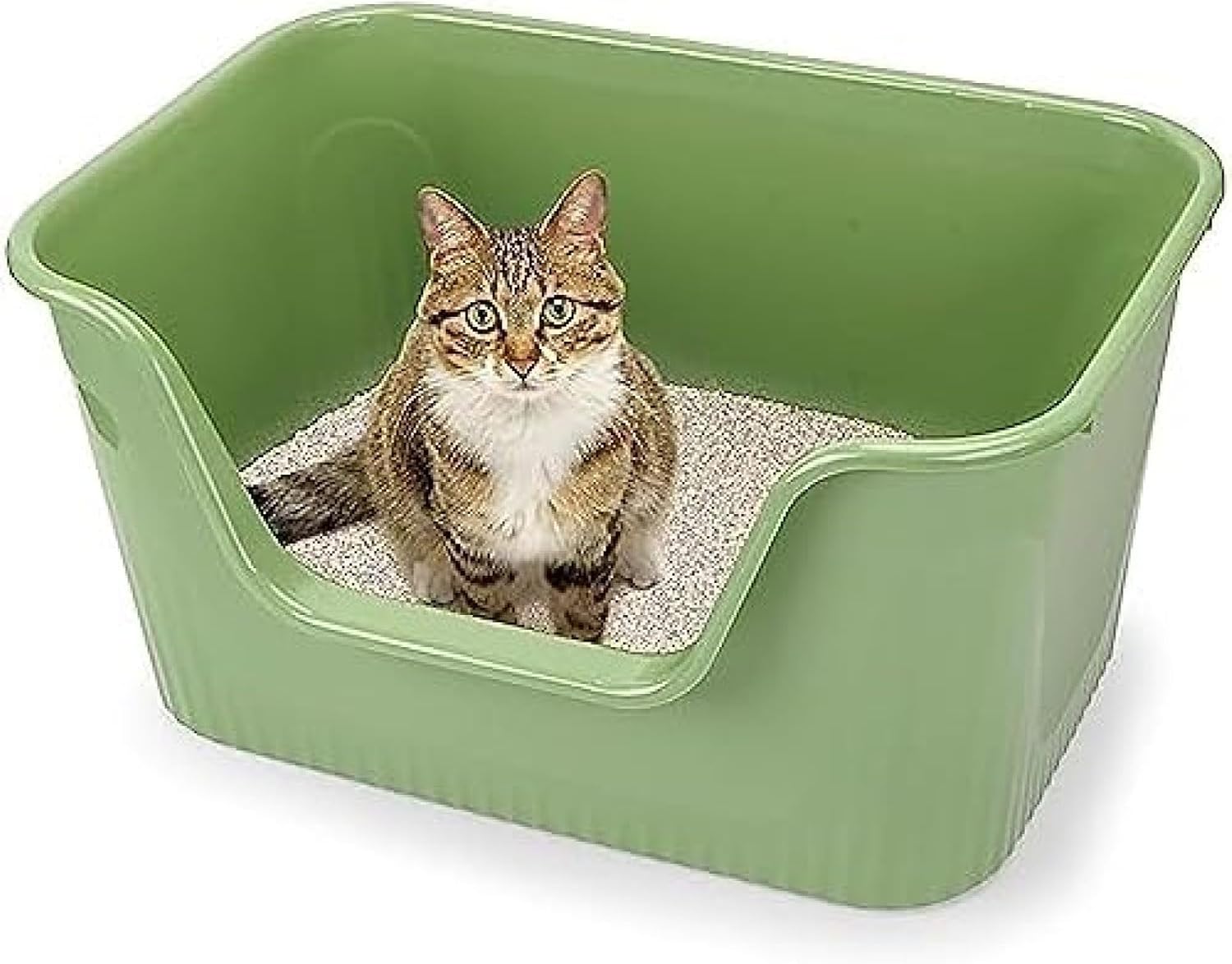 超大型猫用トイレ 猫 トイレ オープンタイプ 大きい猫 多猫 猫用トイレ本体 簡単掃除 清潔 ねこ トイレ 大きい 飛散防止 一体成形 幅64×奥45×高33cm