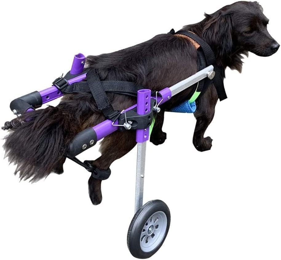 小型犬用車椅子 後ろ足用 ペット用歩行輪 ヒップ高さ20-50cm、ヒップ幅13-26cm、後ろ足リハビリテーション、犬用後ろ足用脚ブレース (サイズ : X-Small) (X)