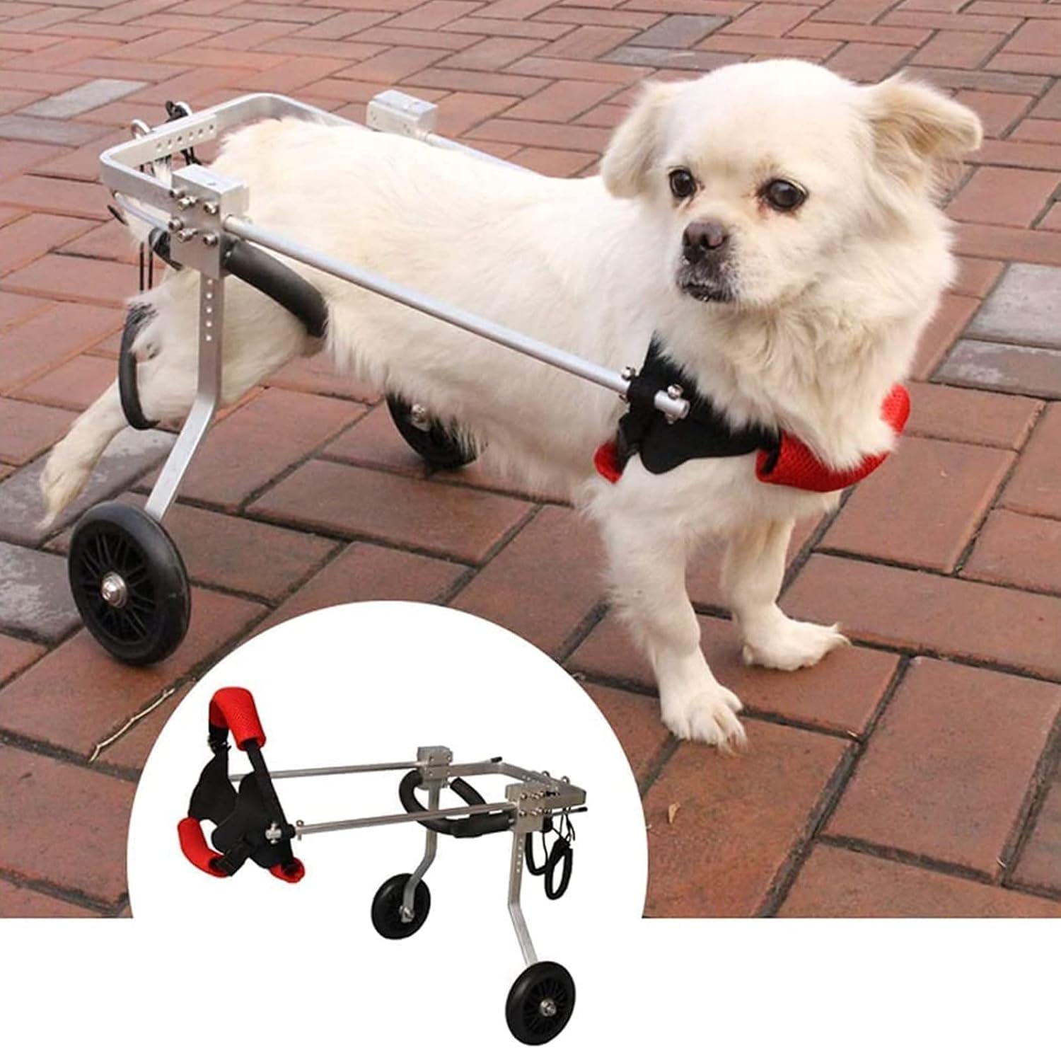 小型から中型の犬と猫用の調節可能な2輪ペット用車椅子、後ろ足のリハビリテーション用のステンレススチールフレーム、高齢犬や障害のあるペットをサポート|Funny Life 店
