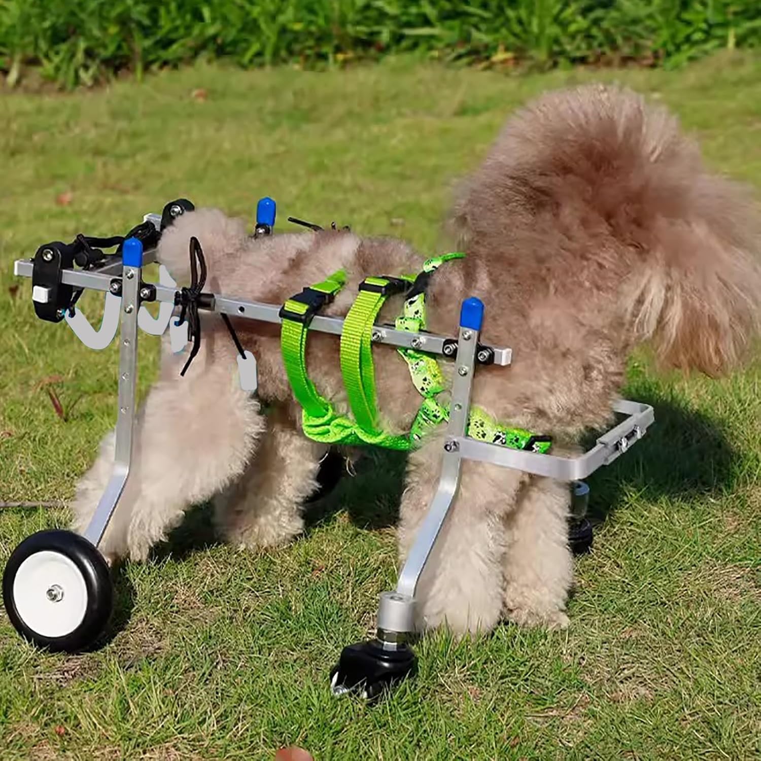 犬用車椅子 猫用車椅子 前輪と後輪付き 4輪犬用車椅子 中型から大型犬用 快適なペット用矯正器具 リハビリテーションカート (サイズ: Mサイズ)