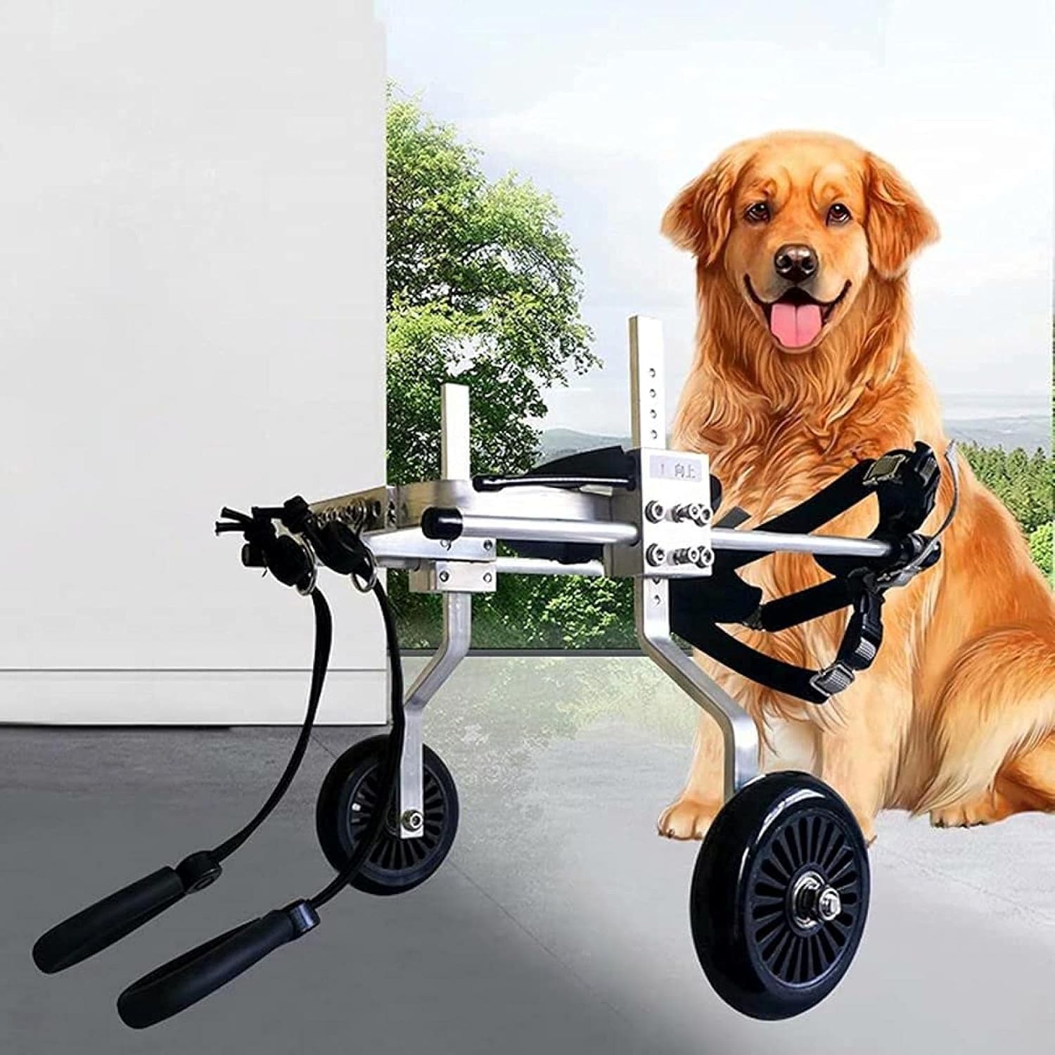 障害のある後ろ足のリハビリテーションのためのポータブル軽量犬用車椅子、完全に調節可能な犬用移動用ホイール ウォーキングホイール、X-Small