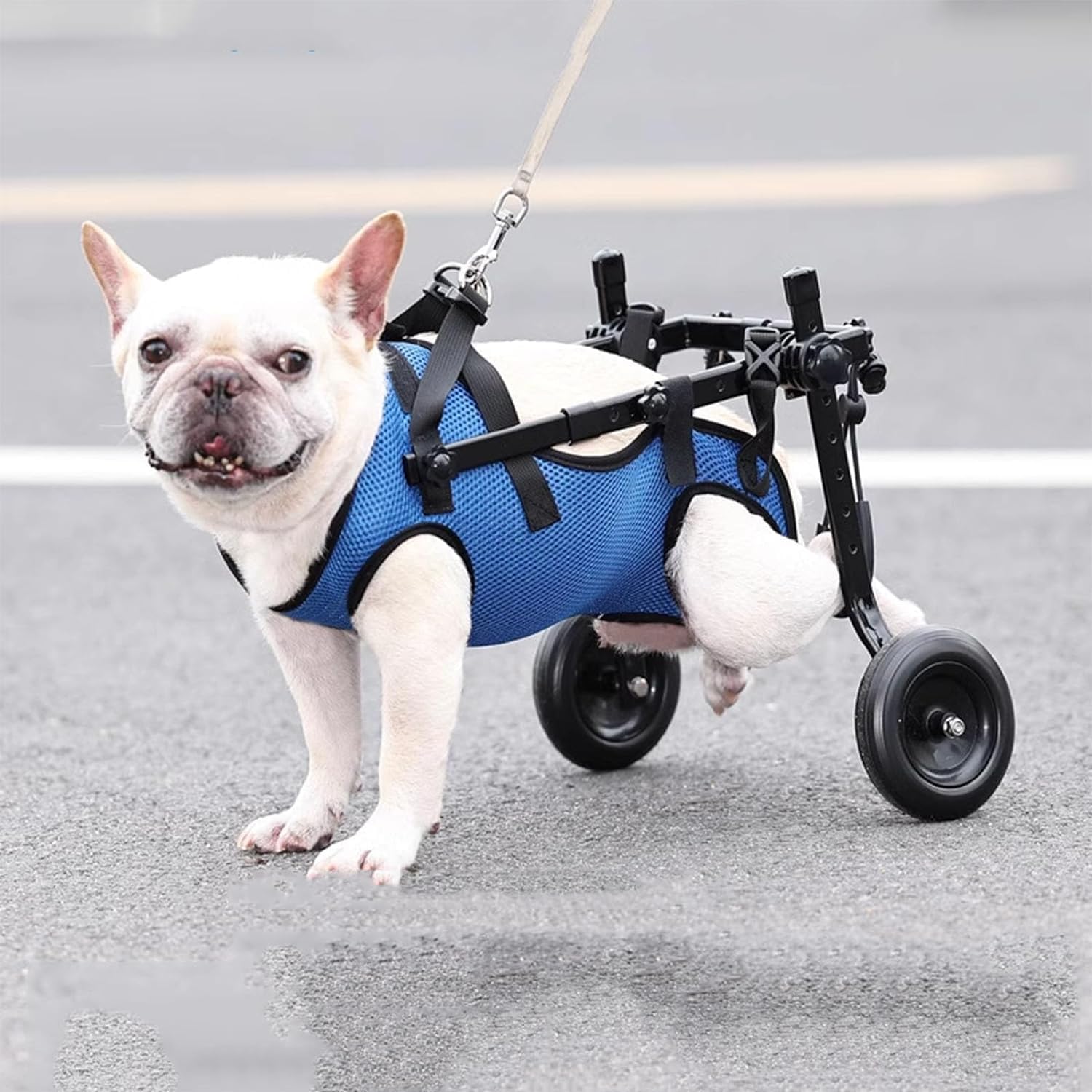 調節可能なペット用車椅子 安全で安心な犬用車椅子 実用的で 犬用車 お手入れが簡単 後脚用車椅子