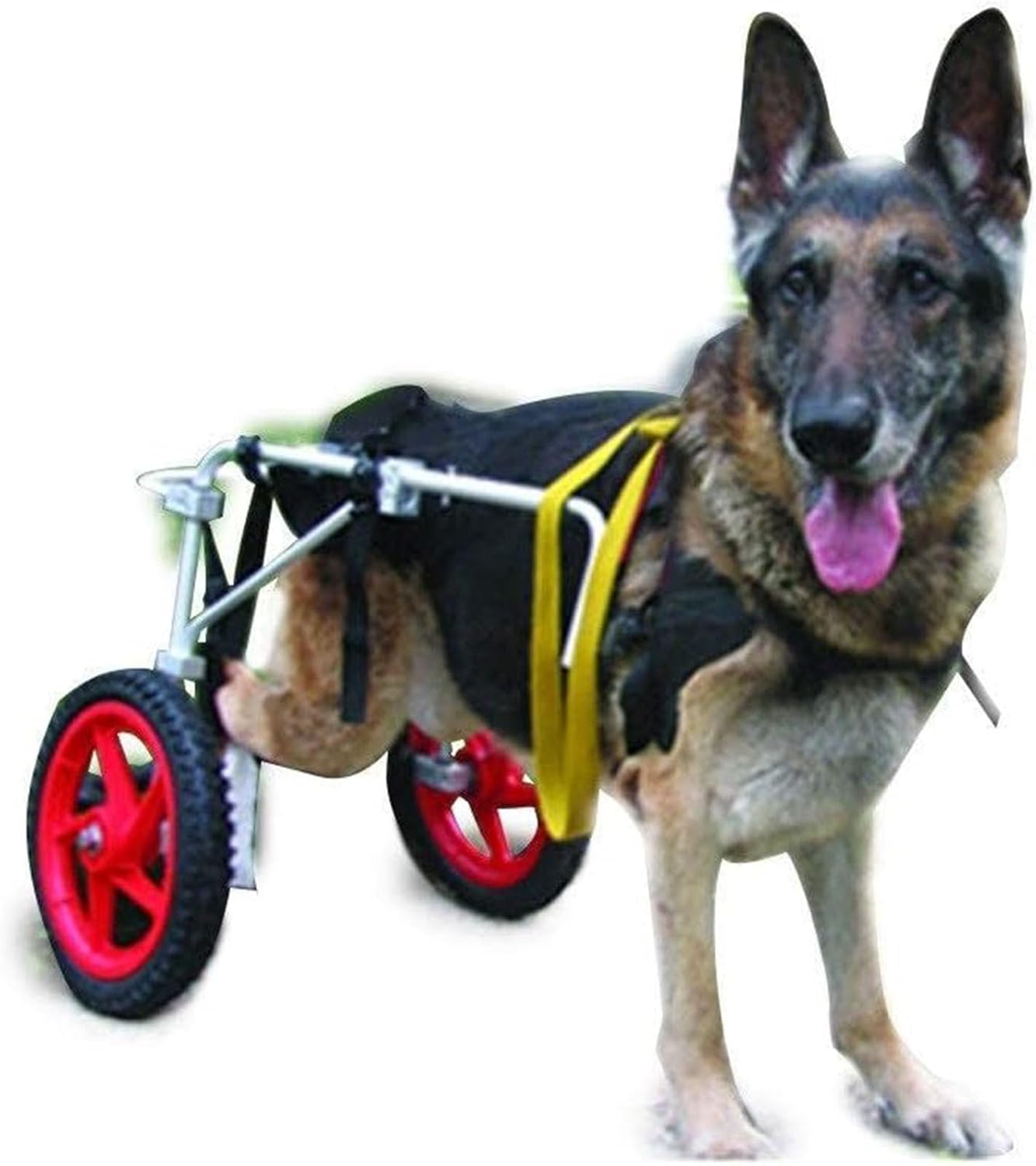 45kg以上の大型犬に適しています。L、XL犬用後脚車椅子、調節可能な犬用車椅子、負傷した脚の障害のリハビリテーション、移動補助具に使用されます。