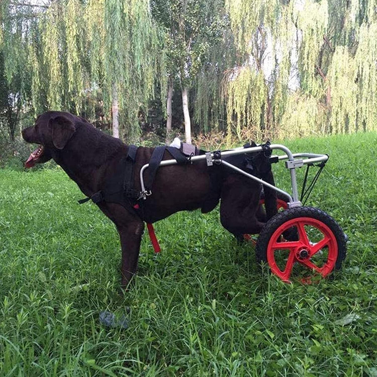ペット大型犬用後足車椅子、調節可能なフルサポートペット車椅子、犬用ベビーカー後足と足のリハビリテーション（L、XL）