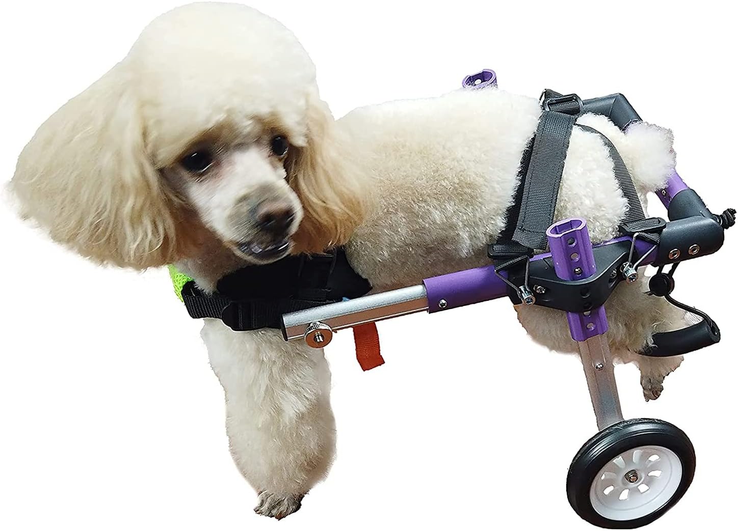 犬の車椅子、調節可能な犬/後ろ足のための子犬、犬のためのハンディキャップの車輪 (Size : S Within 20 kg)｜Funny Life 店