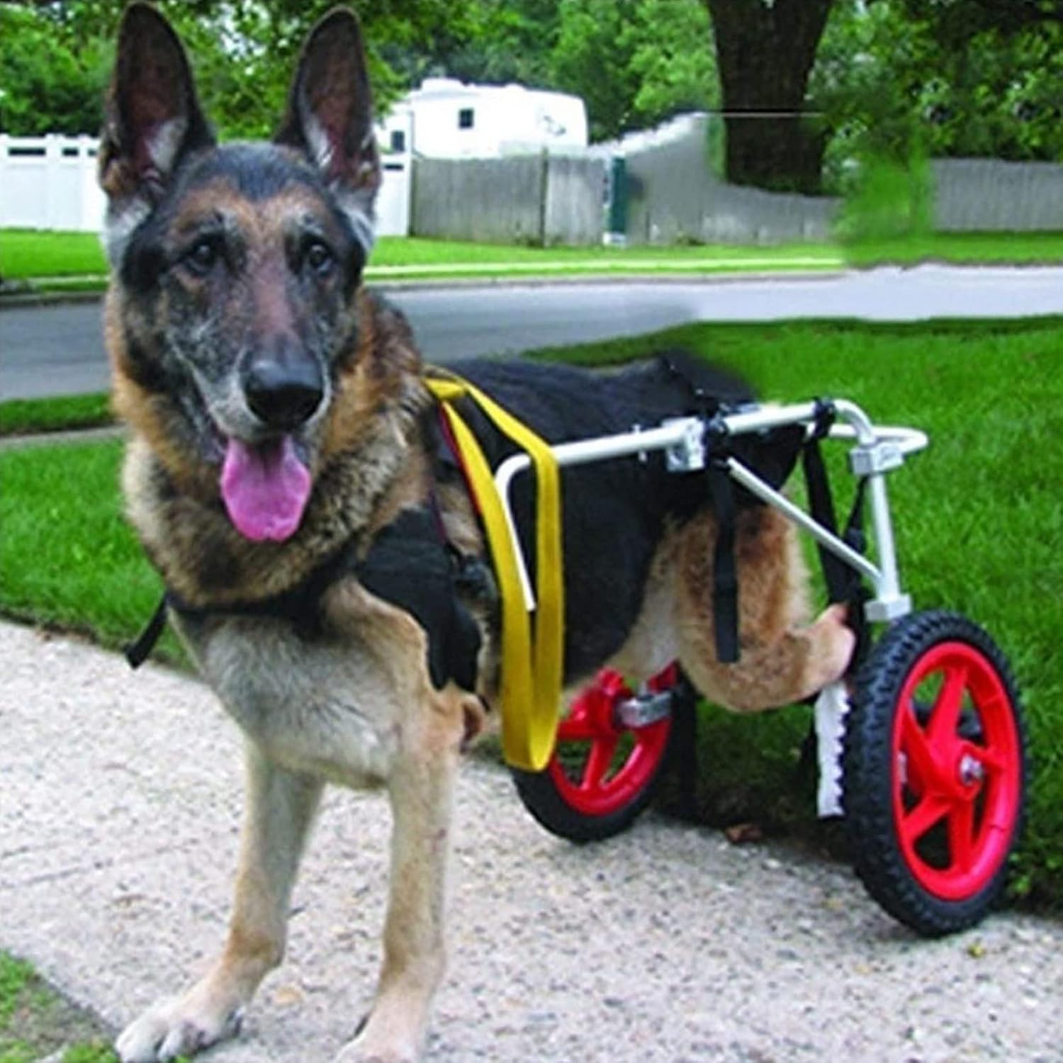 アルミ合金ペット用車椅子 2輪 犬用車椅子 調節可能 犬用カート 後ろ足に最適 動物用エクササイズホイール