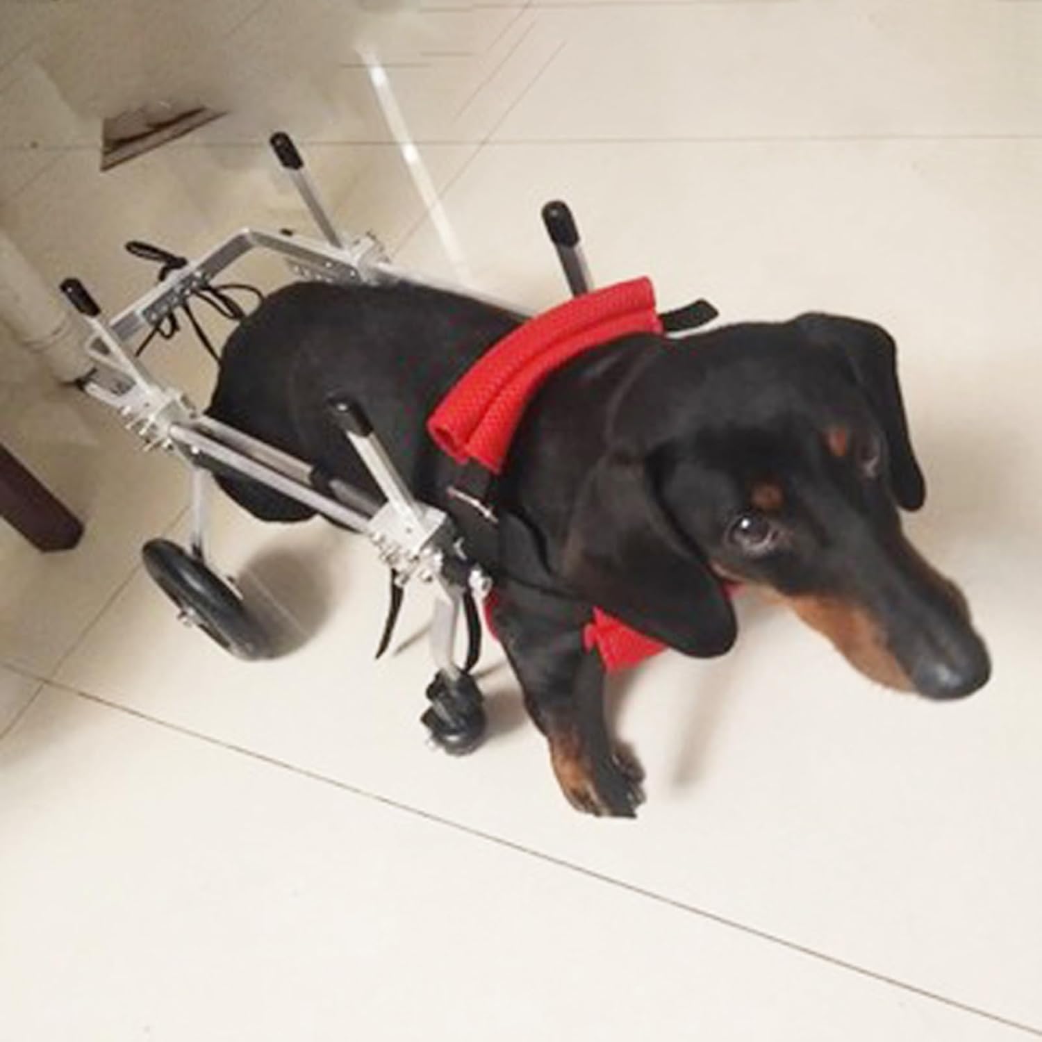 犬用車いす 後ろ足用の小型犬車椅子、 チェストホイールローリングサポートツールを保護し、 猫/犬/子犬動物運動ペットリハビリテーションカート (Size : XS Size)
