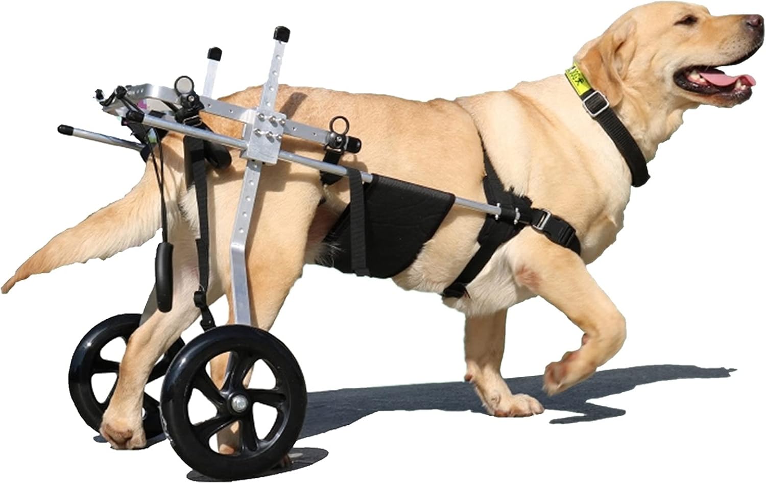 調節可能な犬用車椅子、ペット用車椅子、ペット後肢補助、身体障害者用犬用歩行補助器具、二輪補助具エクササイズホイールペットカート (Size : XXXL)