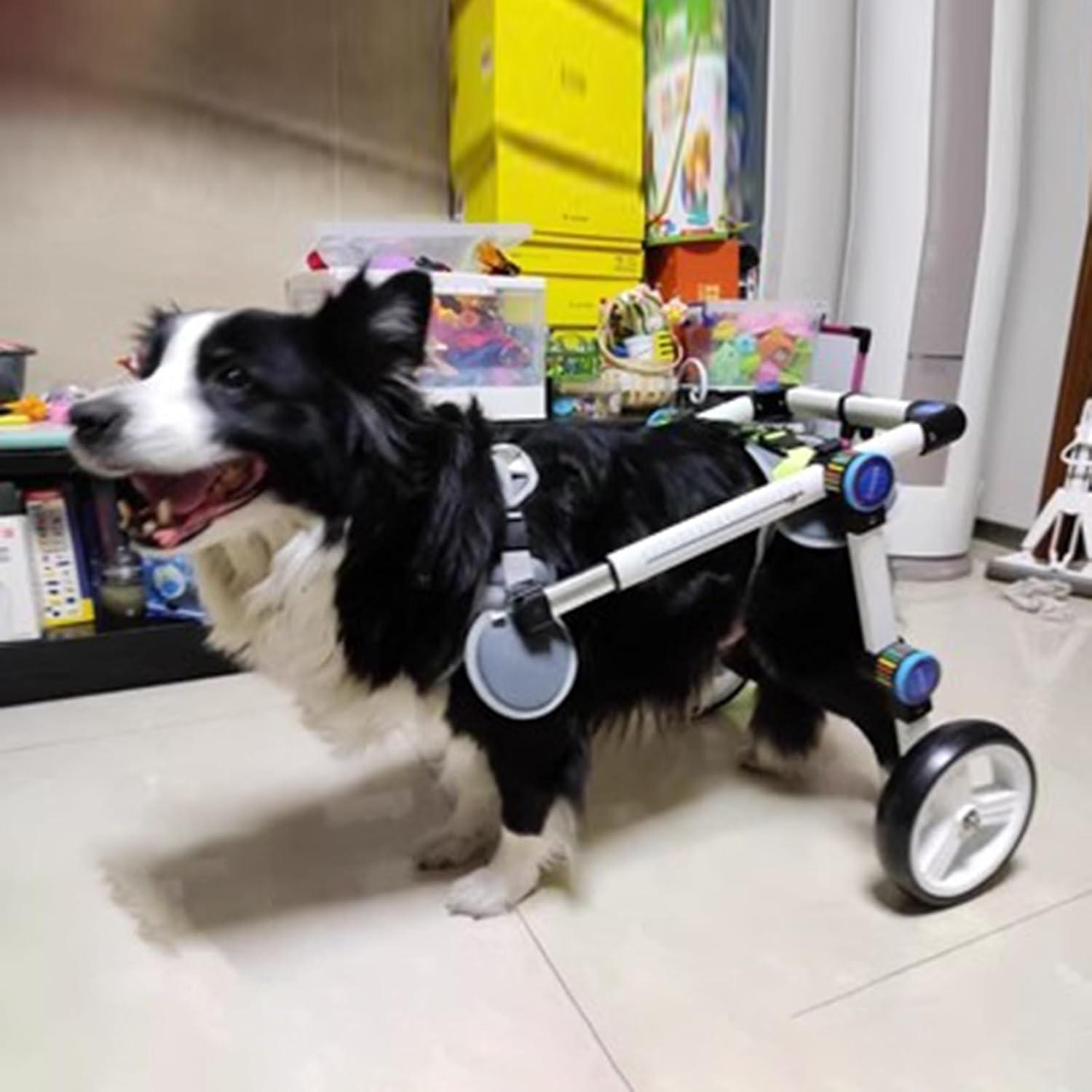 犬用車いす 小さい/媒体/大型犬の車椅子の回復、金属フレームの移動性のペット リハビリテーションのカート、不具にされた犬の後ろ足車輪の圧延サポート用具 (Size : L Size)｜Funny Life 店