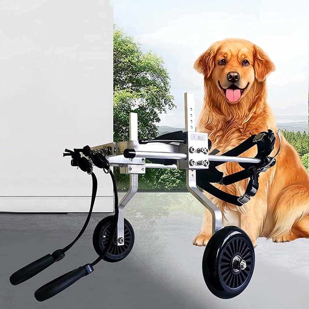 中型/大型犬用犬用車椅子 調節可能なペットリハビリカート 後ろ足障害者用 軽量犬用移動用ホイール ウォーキングホイール (Xxxs-Xxl 1-60kg) (Xl)