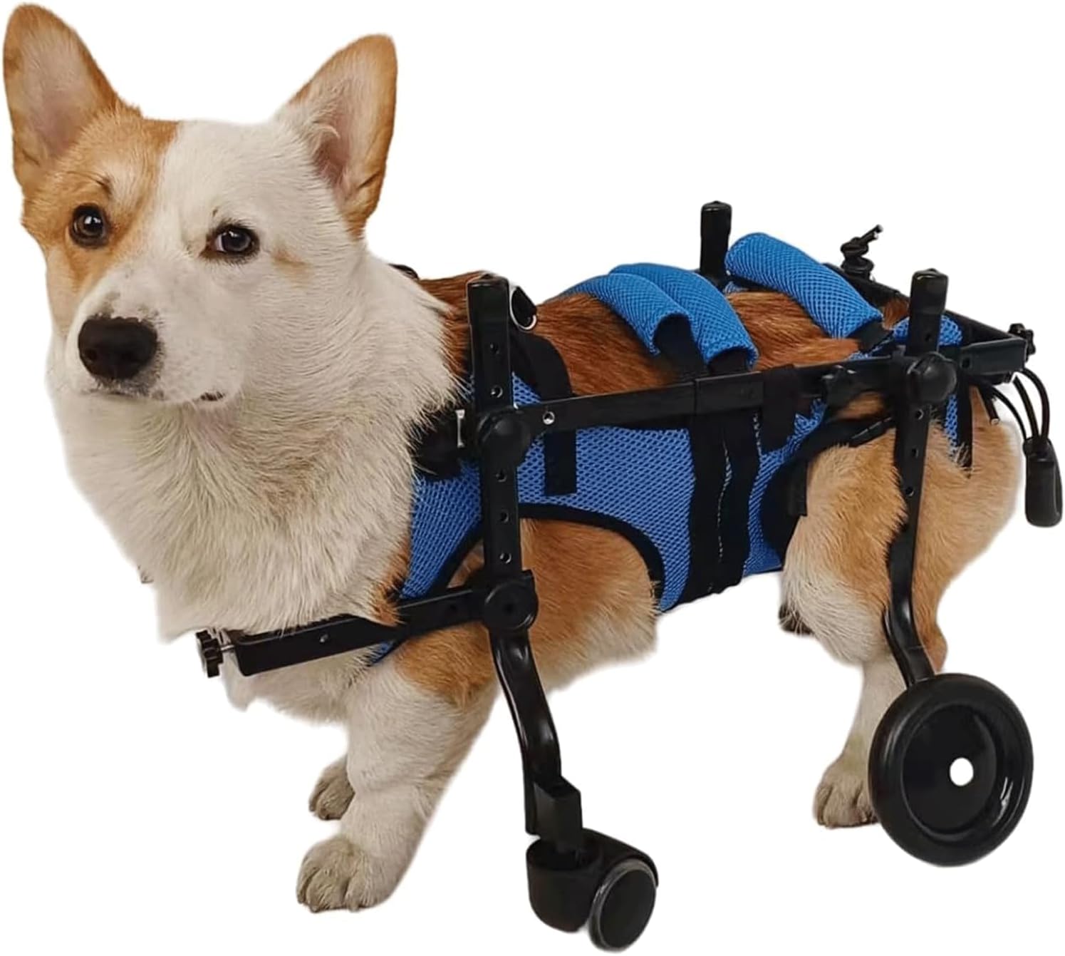 軽量ペット用車椅子 調節可能なアルミ製犬用カート 3サイズ XS、S、M 犬用車椅子 ポータブル犬用後脚車椅子|Funny Life 店