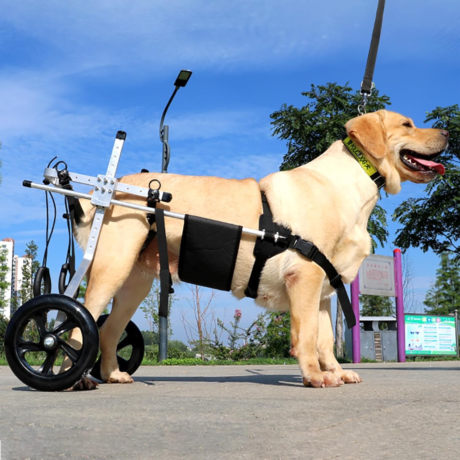 犬用車いす ハンディキャップメッド/大型犬車椅子、 年上の犬動物運動リハビリテーションカート、 後ろ足のサポートのために小さなペットの犬のウォーカーを支援します (Size : XL Size)