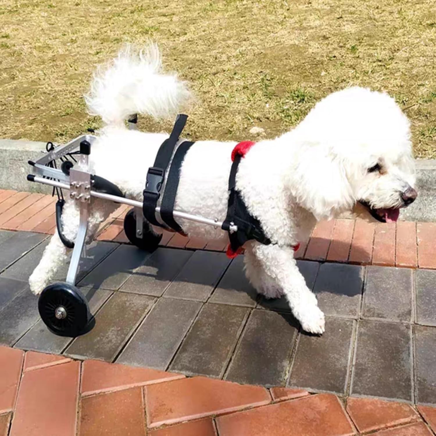犬用車いす 折り畳み式犬用車椅子（ソフトショルダーストラップ付き）、金属フレームペットリハビリテーションカート（猫・犬・子犬用）、ホイールローリングサポートツール (Size : XS Size)