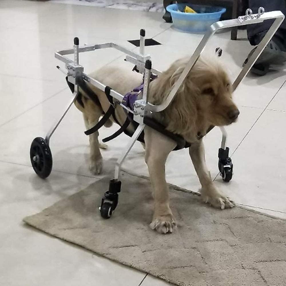 犬用トレッドミル ベストフレンド?犬用車椅子 調節可能 4輪 ステンレススチール カート ペット/猫用犬用車椅子 後肢リハビリ 障害のある犬用 ペット用車椅子 トレーニング