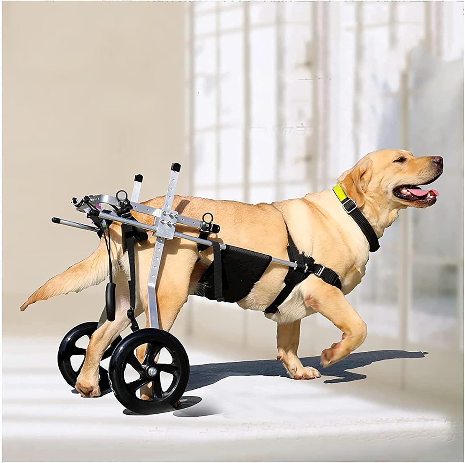 調節可能な犬用カート/車椅子、後脚用車椅子軽量、ペット用車椅子、身体の不自由な犬に適した犬用車椅子、後脚運動車両、2輪後脚リハビリテーション (Size : XXXL for 35-60 kg)
