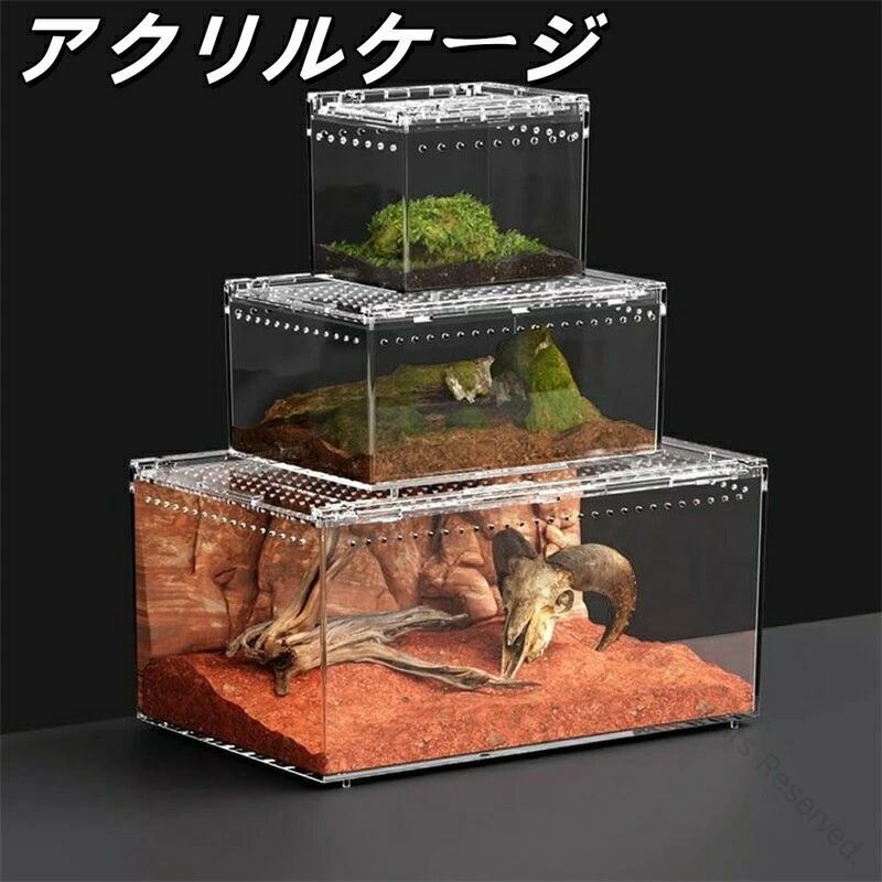 楽天市場】蛇飼育用アクリルケージ 爬虫類ケース 両生類飼育ケース