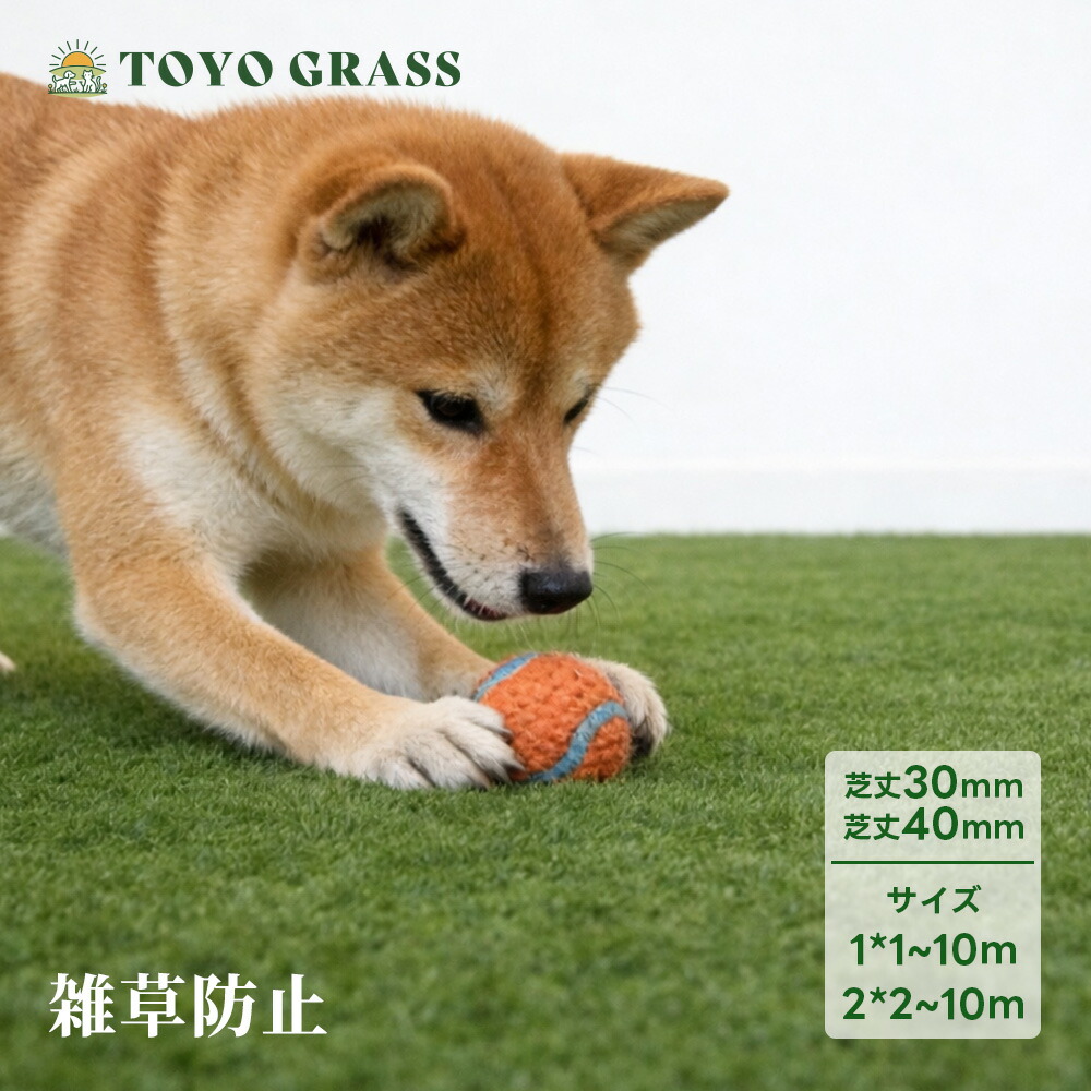 【クーポンで10%OFF】人工芝 室内 5m 切り売り ベランダ 庭用 40mm ロール 2m×10m 人工芝 ピン クッション性 グレー ドッグラン サッカーテラス バルコニー 屋外用 U字ピン付 屋外用 U字ピン付 簡単設置 防草シート不要 8,254円