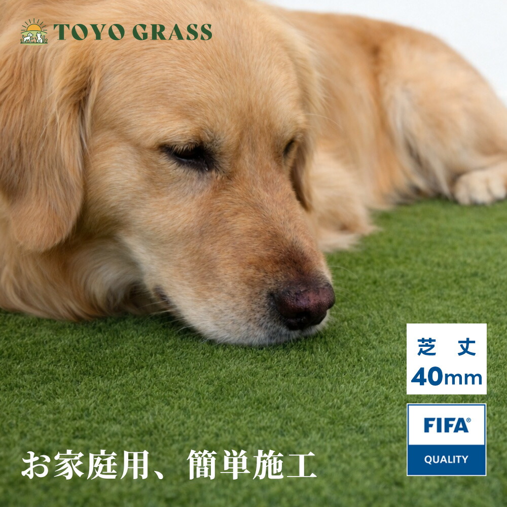【愛玩動物専用腹積もり】人工芝  室内  一巻き 芝丈40粍 密集して84万本抗菌遣りかた ドッグラン 犬・猫 愛玩動物用 2m×10m / 1m×10m 座布団性  水はけ好ましい お取りつくろう飾り気の無い  即物的人工芝 庭 縁側 U字いの一番付 人工芝地 一巻き手合い 貨物輸送無料【2月上旬より順次送りとどける】