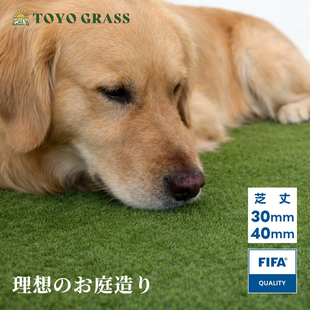 人工芝  室内  5m 切り売り  縁側 庭用 30粍  一巻き式 2m×10m 人工芝 ピン 座布団性  薄墨色 ドッグラン 蹴球相応う 中庭 縁側 室外用 U字いの一番付 室外用 U字いの一番付 飾り気の無い築き上げる 防草腰かけ不必要 40粍