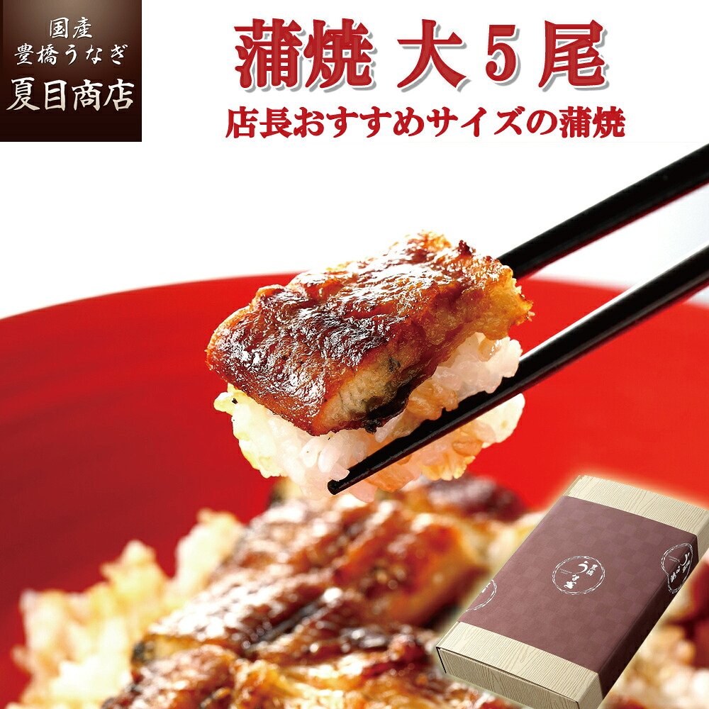 【エントリーでP10倍】プレゼント ギフトうなぎ 蒲焼き 155-167g×5尾 大サイズ 大盛5人前 送料無料 国産 愛知県産 専門店 お中元 土用の丑 暑中見舞い 残暑見舞い 誕生日 食べ物 真空パック 贈り物 喜ばれる 内祝い 60代 70代 80代|国産 豊橋うなぎ 夏目商店